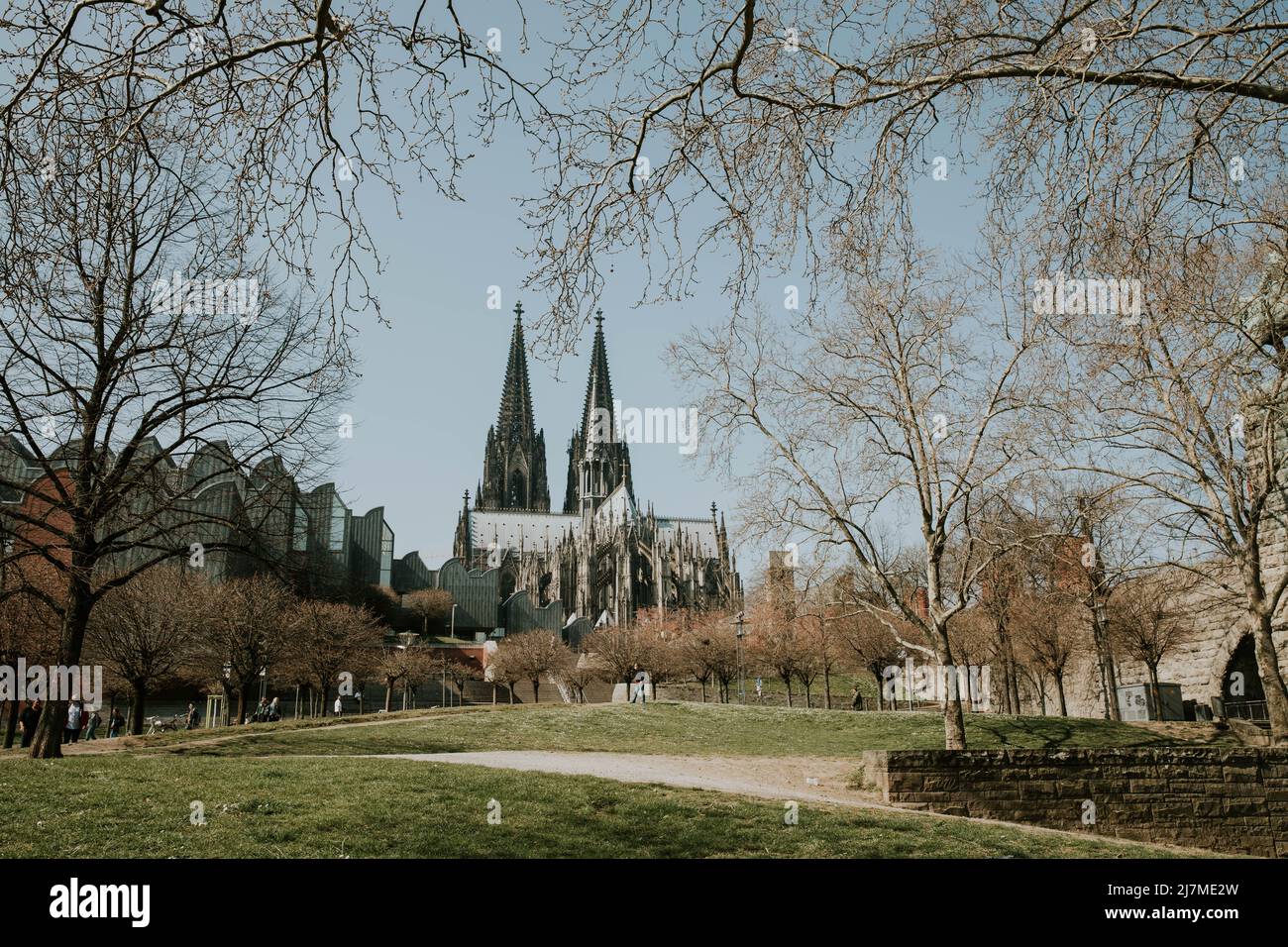Rheingarten mit Blick auf den Kölner Dom Stockfoto