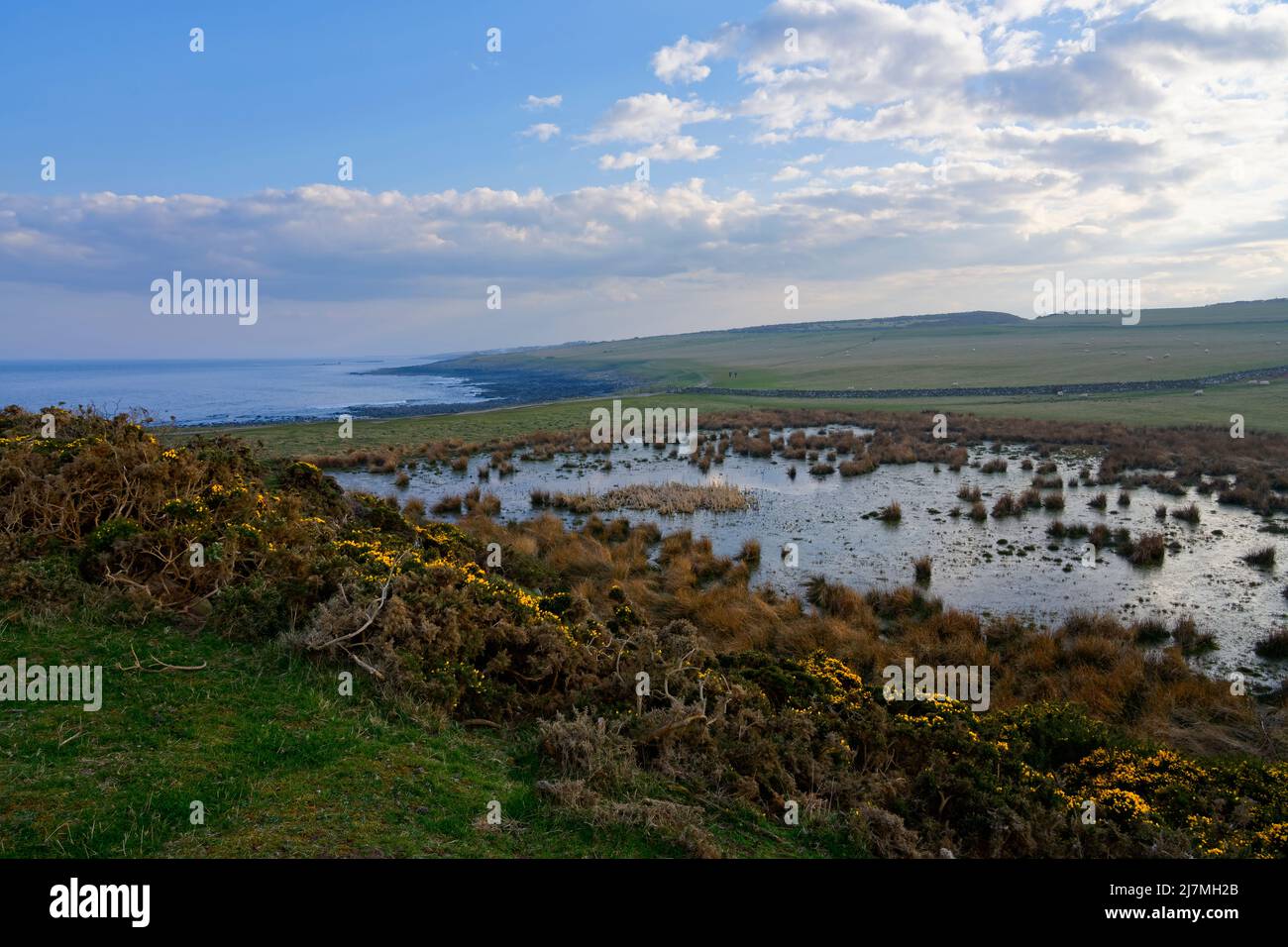Dunkler Himmel und Nebel hängen über der Küste von Northumbrian in der Nähe von Alnwick. Stockfoto