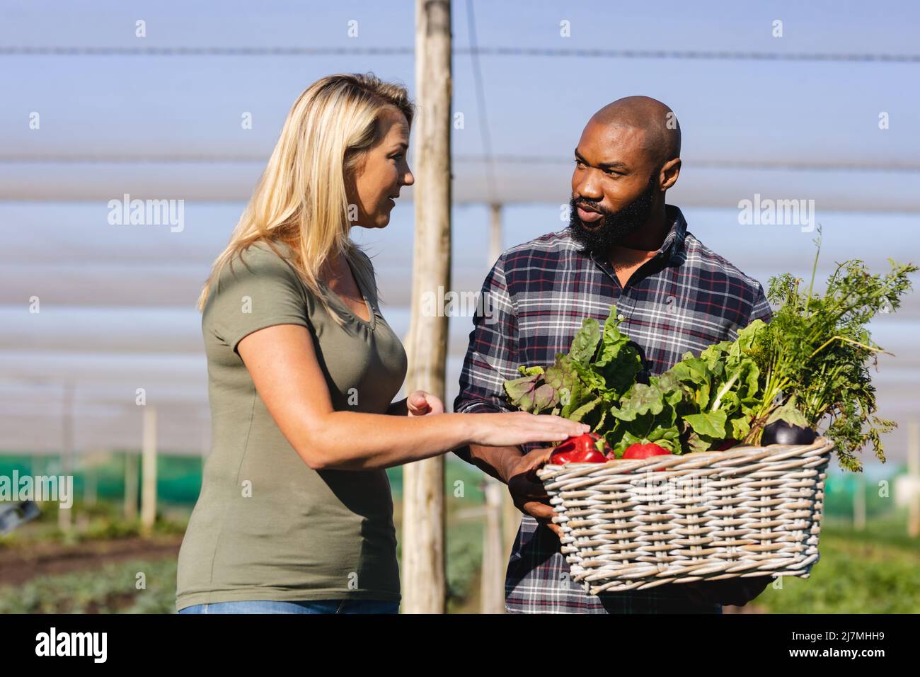 Kaukasische Frau mittleren Erwachsenen im Gespräch mit afroamerikanischen Glatze Mann trägt Gemüse im Gewächshaus Stockfoto