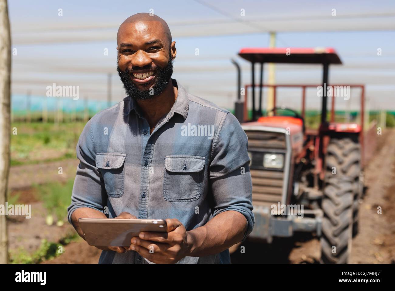 Porträt eines lächelnden afroamerikanischen kahlen Mannes mit mittlerem Erwachsenen und einem digitalen Tablet, das im Gewächshaus steht Stockfoto