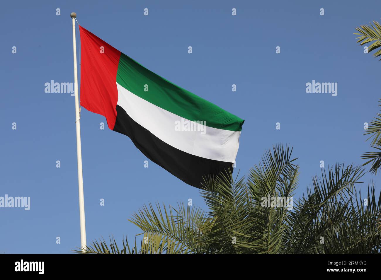 Flagge der Vereinigten Arabischen Emirate Stockfoto