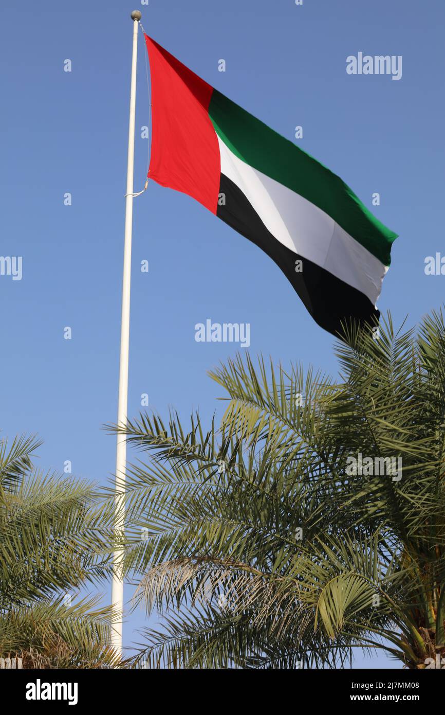 Flagge der Vereinigten Arabischen Emirate Stockfoto