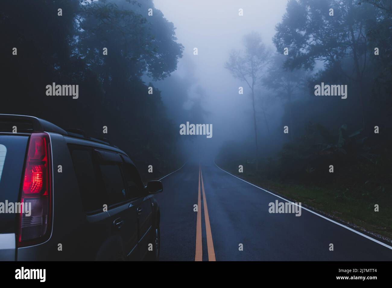 Rückansicht eines silbernen SUV-Fahrzeugs, das in der Regenzeit auf einer Bergstraße im Nebel fährt, einer Asphaltstraße durch einen tropischen Regenwald. Erkunden, Reisen. Stockfoto
