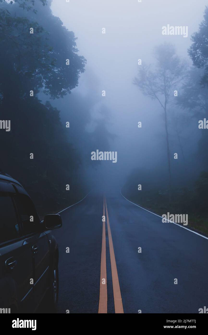 Rückansicht eines silbernen SUV-Fahrzeugs, das in der Regenzeit auf einer Bergstraße im Nebel fährt, einer Asphaltstraße durch einen tropischen Regenwald. Erkunden, Reisen. Stockfoto