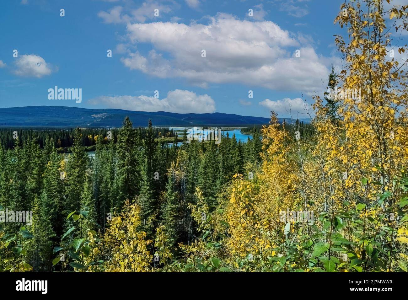 Yukon River in der Nähe von Dawson City, Yukon Stockfoto