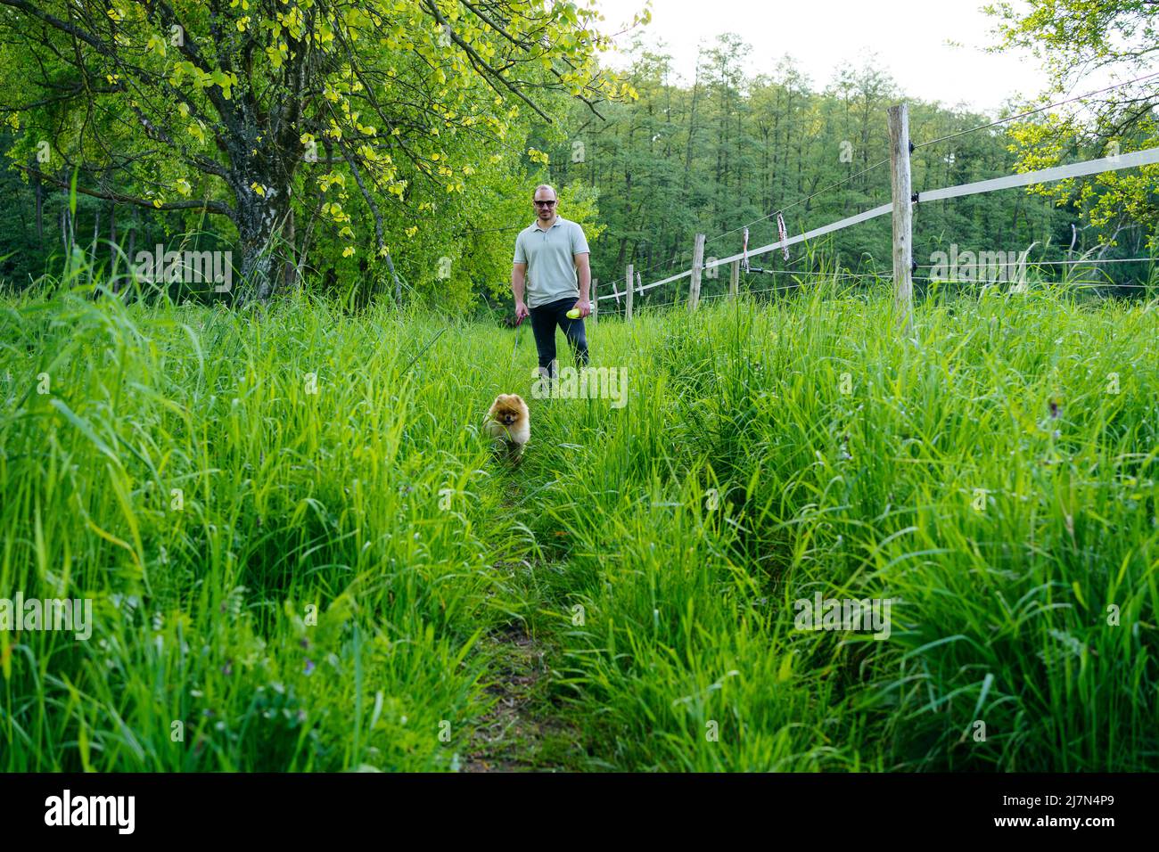 Der Mann mit kleinem Hund. Der Weg im Gras auf der Feldseite am sonnigen Frühlingstag Stockfoto