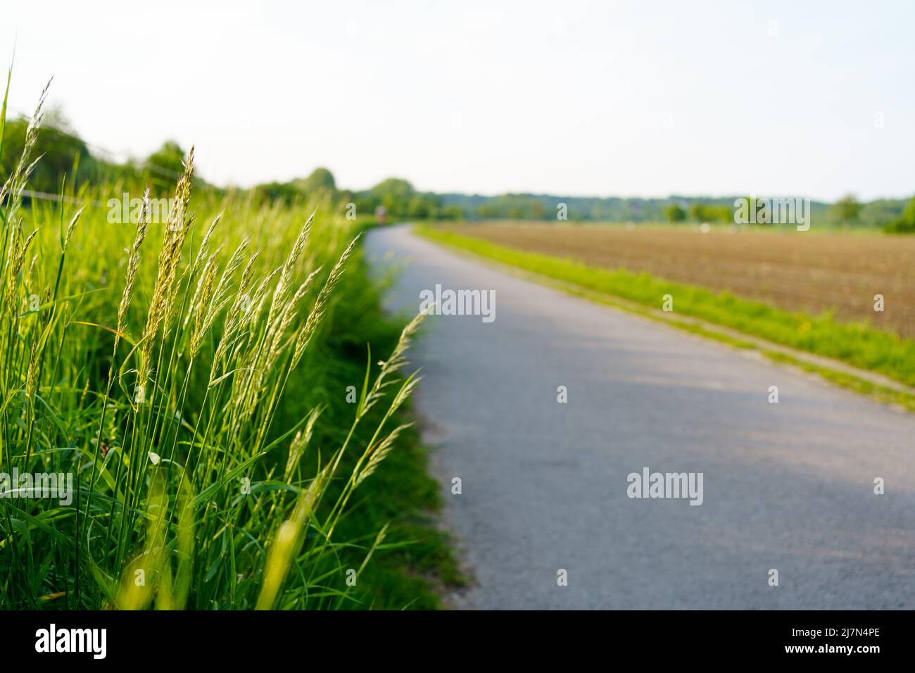 Asphalt Straßenpanorama in den Feldern Landseite am sonnigen Frühlingstag Stockfoto