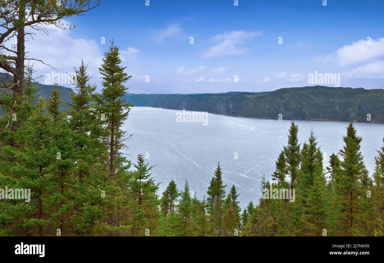 Panoramablick auf den Fluss Saguenay vom Saguenay Fjord National Park, Quebec, Kanada. Stockfoto