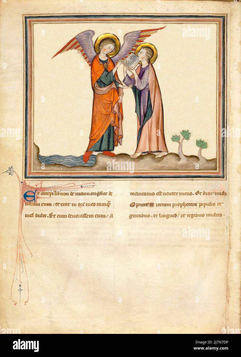 Die Cloisters Apokalypse ca. 1330 - die Apokalypse oder das Buch der Offenbarung, Johannes der Evangelist, Giovanni evangelista, während seines Exils auf der griechischen Insel Patmos. In diesem Bild - Johannes isst das Buch und wird befohlen zu prophezeien Stockfoto