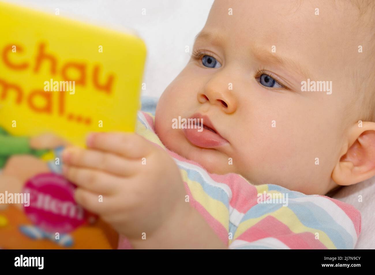 Baby schaut sich ein Buch an Stockfoto