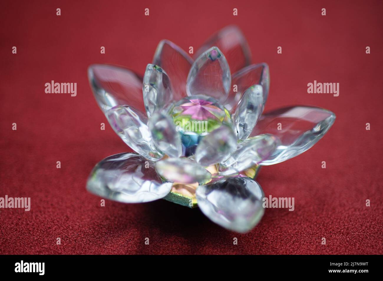 Kristalllotus auf rotem Tisch. Muladhara-Chakra-Symbol. Stockfoto