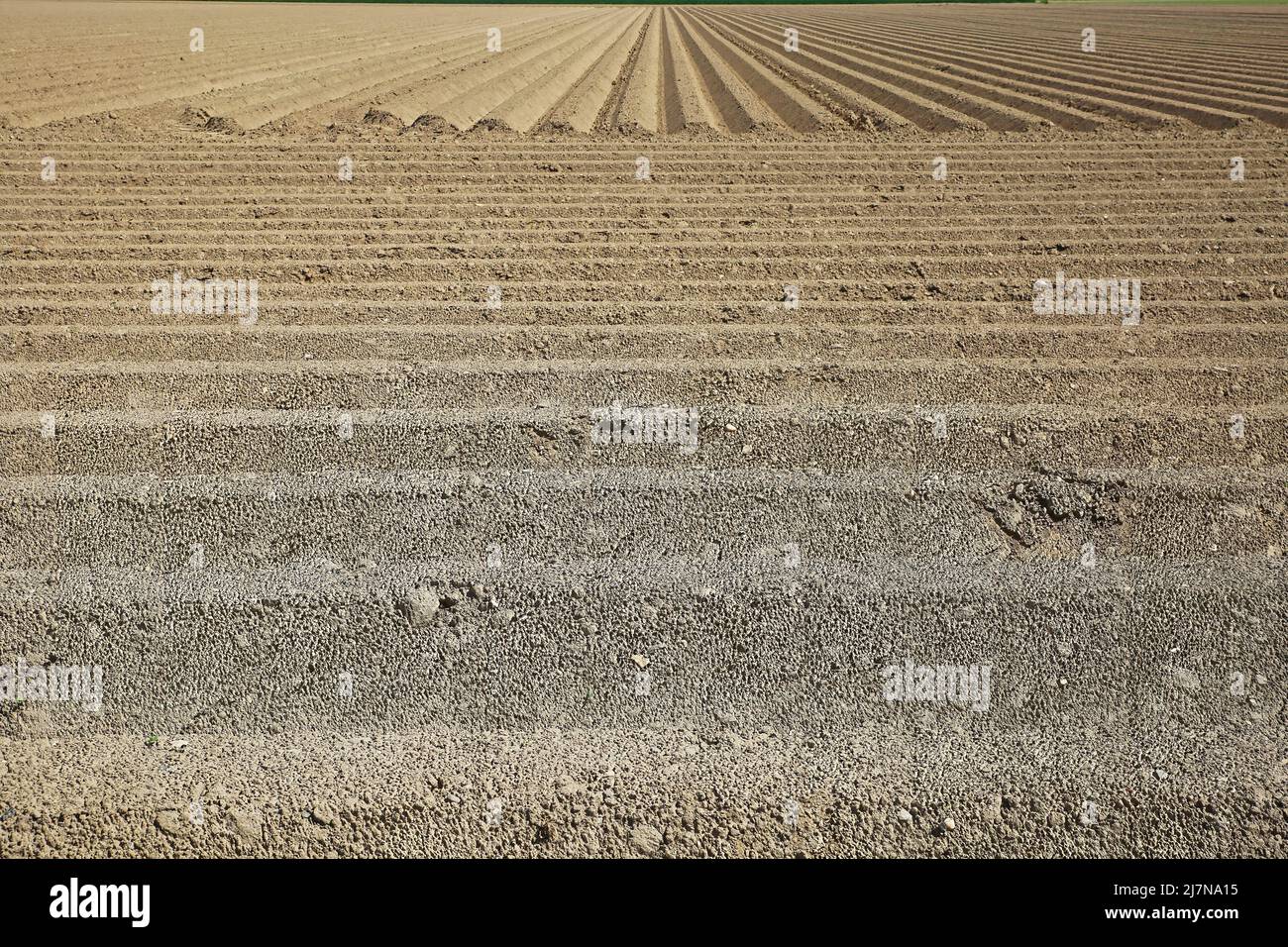 Nahaufnahme von zubereiteten frischen gepflügten landwirtschaftlichen Bodenfeldern mit symmetrischen Ackerflächen Furchen - Deutschland, NRW Stockfoto