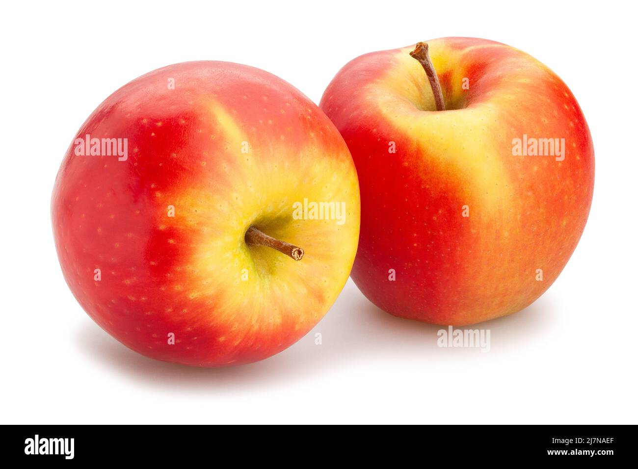 Bunte Apfelweg isoliert auf weiß Stockfoto