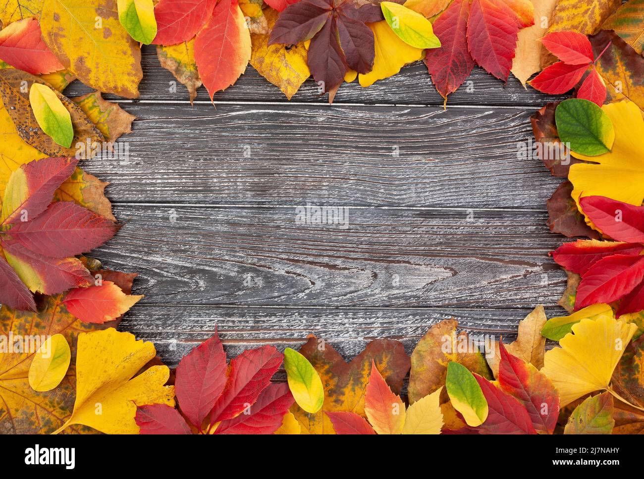 Herbstblätter Rahmen auf Holz Hintergrund Stockfoto