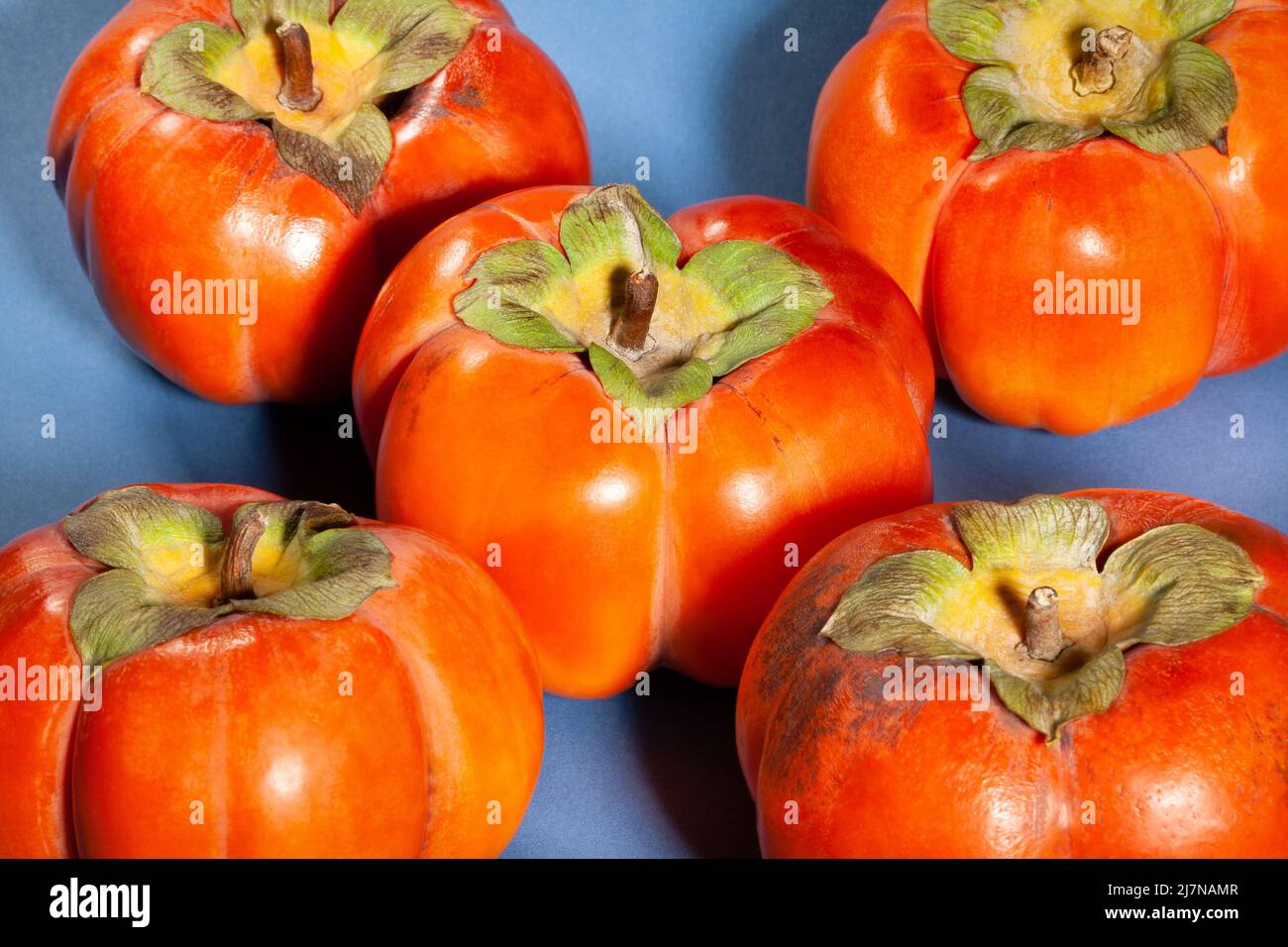 Persimmon-Gruppe auf blauem Hintergrund Stockfoto