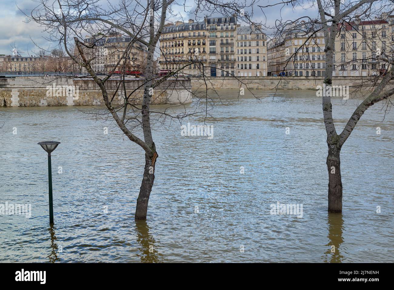 Die seine überflutet eine Straßenlaterne und zwei Bäume am linken Ufer mit dem Square de l’île de France und dem Quai d’Orléans im Hintergrund. Stockfoto