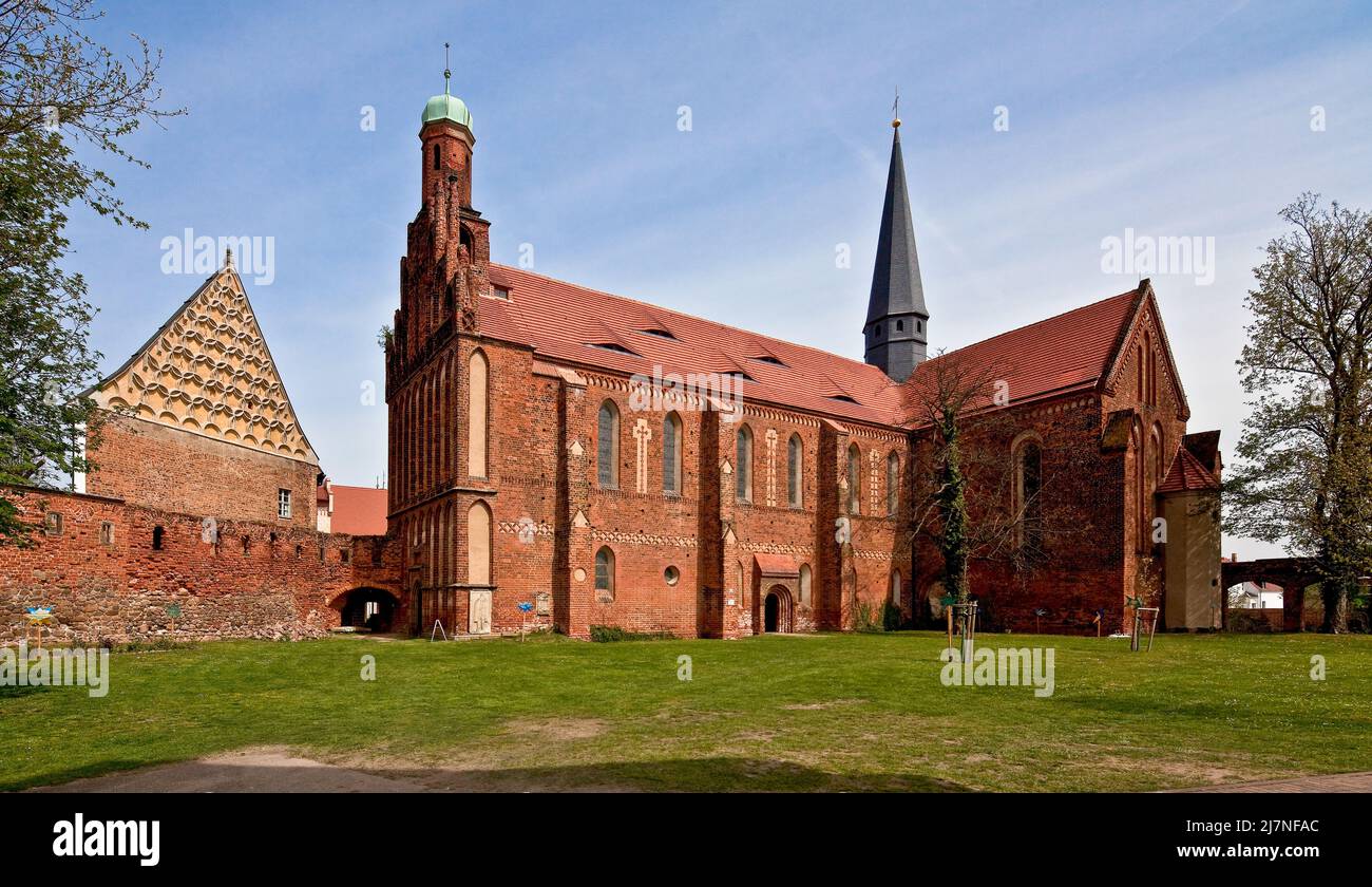 Mühlberg Elbe Zisterzienserinnenkloster Güldenstern 75356 Kreuzförmige Saalkirche im Übergangsstil Ansicht von Südwegen links Südgiebel des Klausur- Stockfoto
