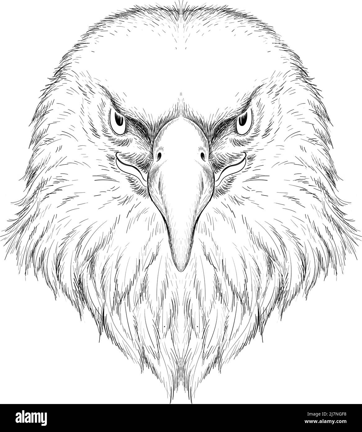 Das Vector Logo Adler für Tattoo oder T-Shirt Design oder Outwear. Jagd Stil Adler Hintergrund. Diese Handzeichnung ist für schwarzen Stoff oder Leinwand Stock Vektor