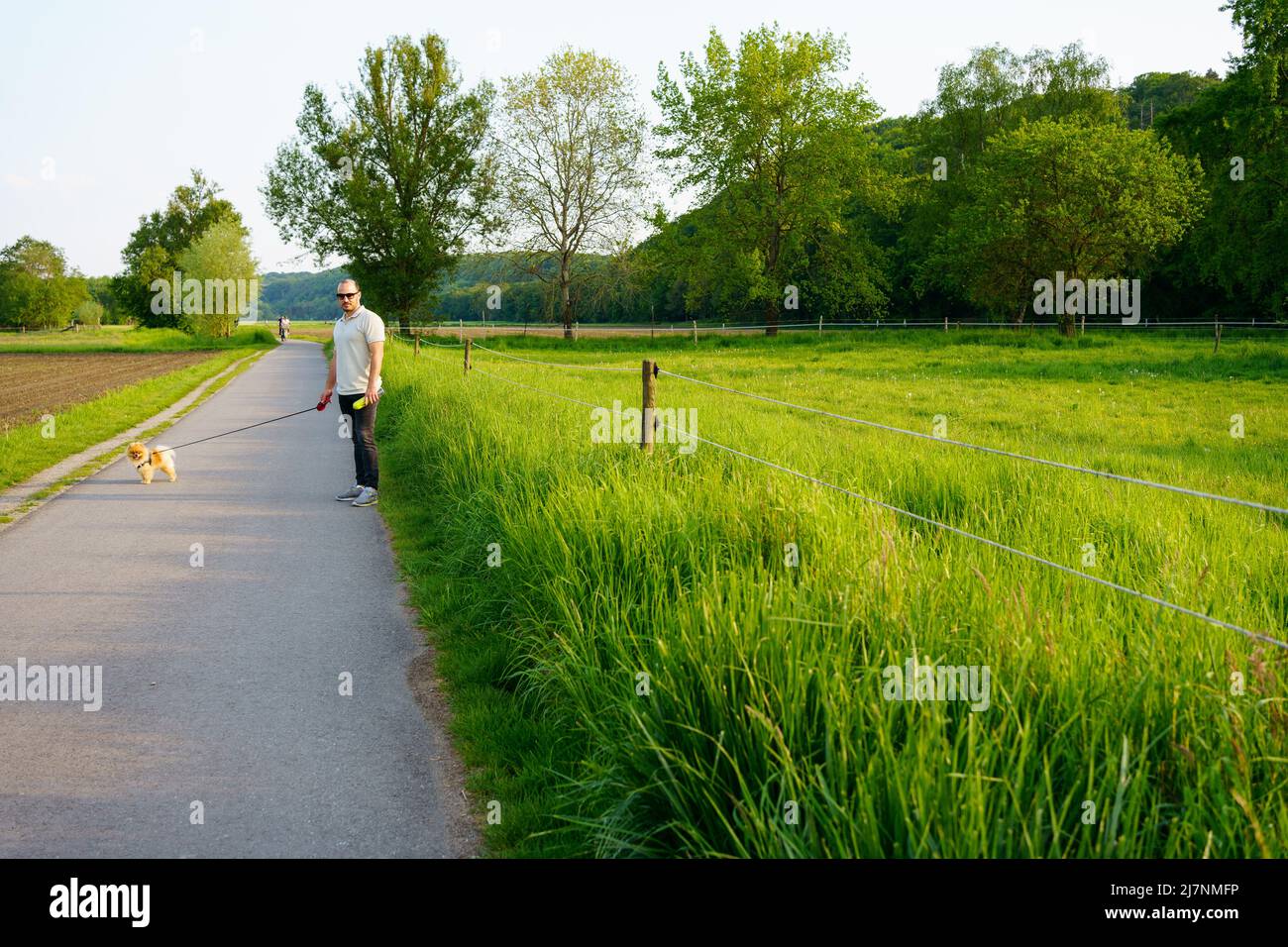 Der Mann mit kleinem Hund. Das Asphalt Road Panorama in den Feldern auf der Landseite am sonnigen Frühlingstag Stockfoto