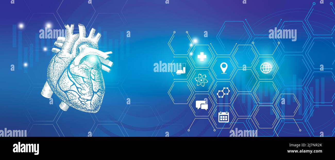Erforschung und Genesung von Herzerkrankungen an menschlichen inneren Organen. Blaue Vorlagenpalette, Platz für Text kopieren. Stockfoto