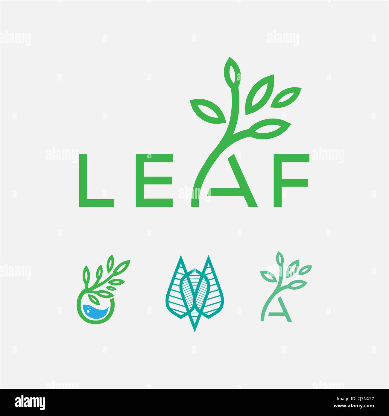 Vektor mit Blattbuchstaben, Eco Logo Design Stockfoto