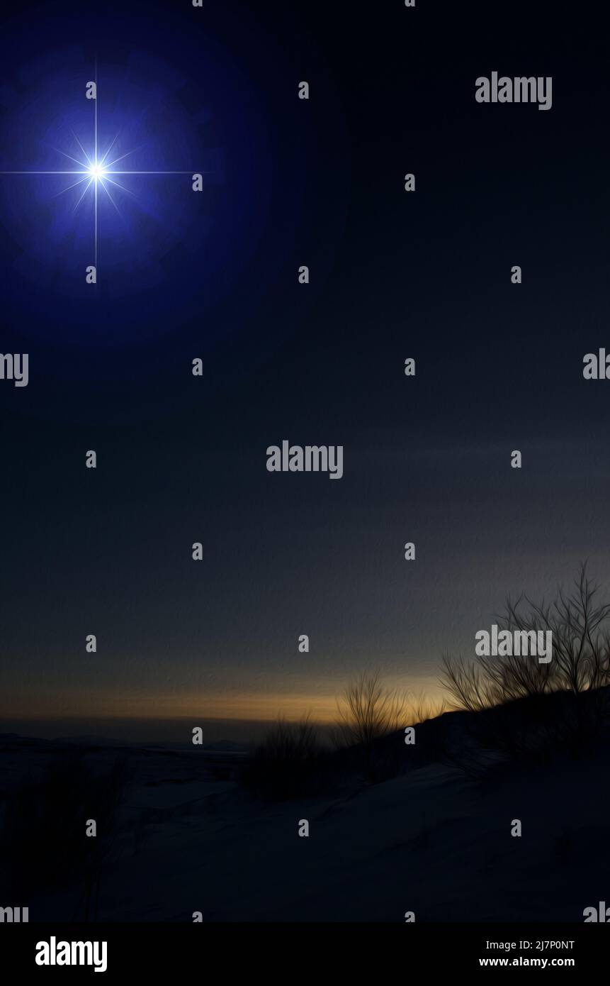 Dunkler Blick auf den verschneiten Boden und die Silhouette des kargen Busches während der Dämmerung in Island. Stockfoto