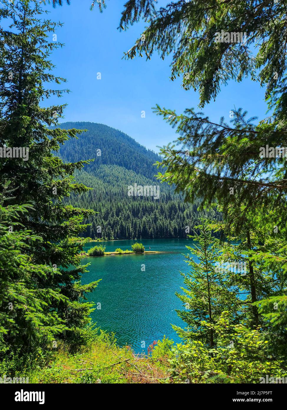 Blick auf den Gold Creek Pond, während Sie auf einem ADA-zugänglichen Pfad sind Stockfoto