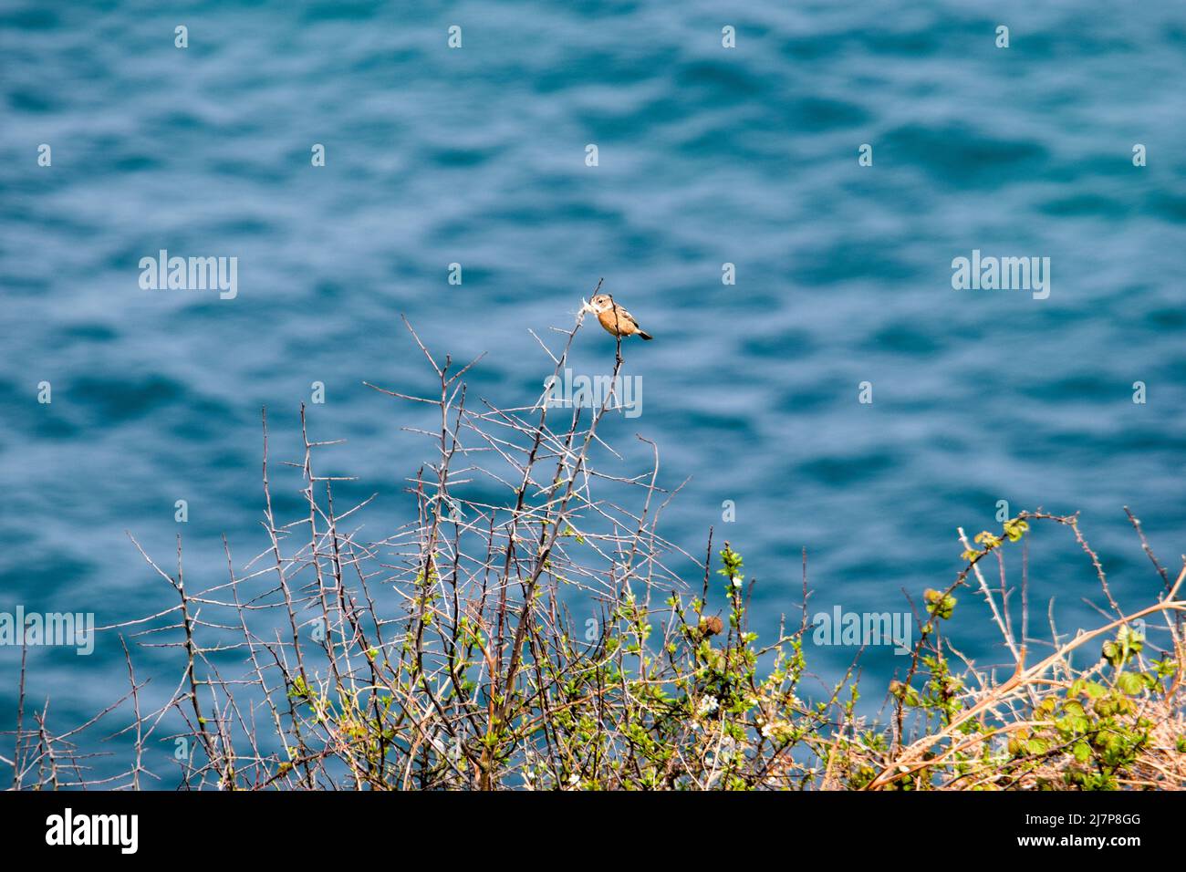 Vault Beach 290422 Stockfoto