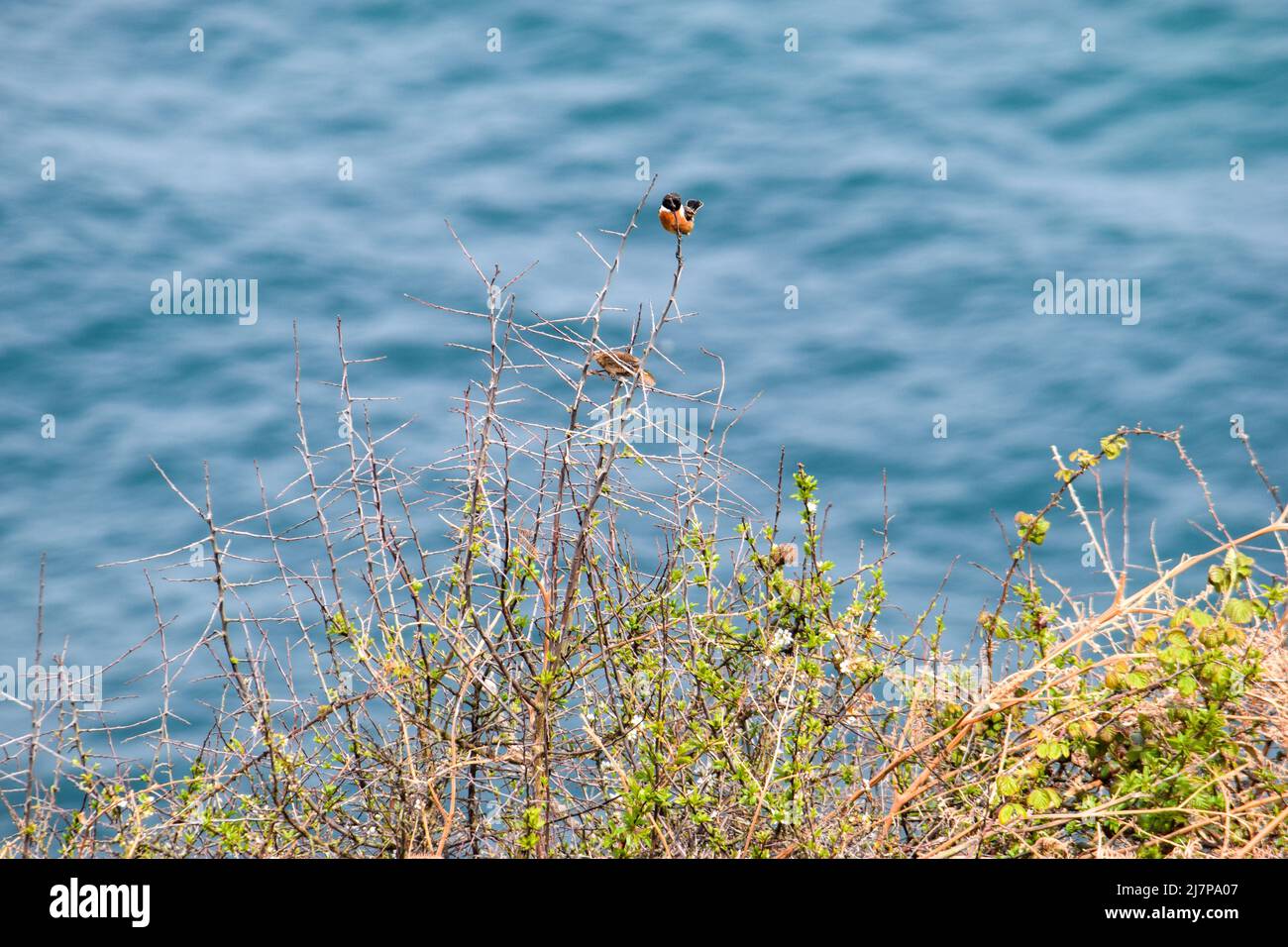 Vault Beach 290422 Stockfoto