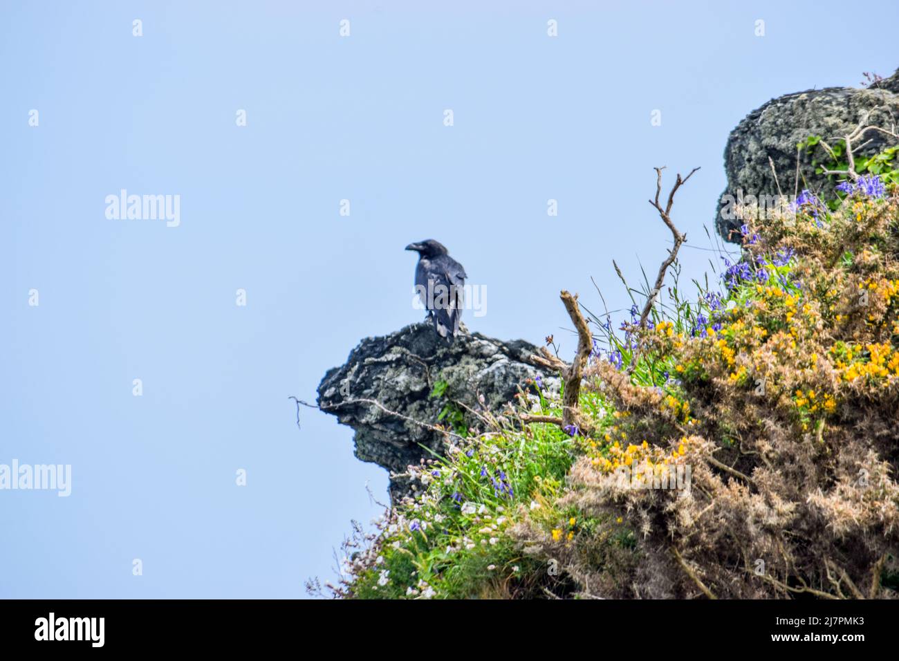 Vault Beach 290422 Stockfoto