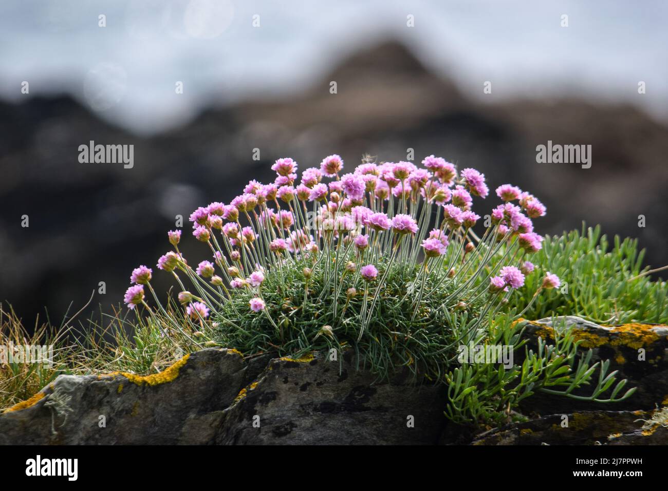 Vault Beach 290422 Stockfoto