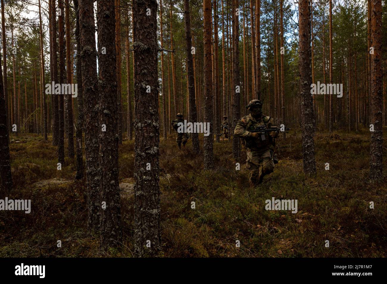 Getarnte US-Armeesoldaten des 4. Squadron, 2D Cavalry Regiment dringen am 4. Mai 2022 im Rahmen der Übung Arrow 22 während einer Kampfübung im Trainingsgebiet Niinisalo, Finnland, durch schwere Forstwirtschaft vor. Übung Arrow ist eine jährliche, vorgeplante, multinationale Übung, die in Finnland stattfindet, wo Besuchskräfte, darunter die USA, Großbritannien, Lettland, Und Estland trainieren gemeinsam mit den finnischen Verteidigungskräften in intensiven Force-on-Force-Engagements und einer Live-Feuerübung mit dem Ziel, die militärische Bereitschaft zu erhöhen und die Interoperabilität zwischen dem teilnehmenden Partner nat. zu entwickeln Stockfoto