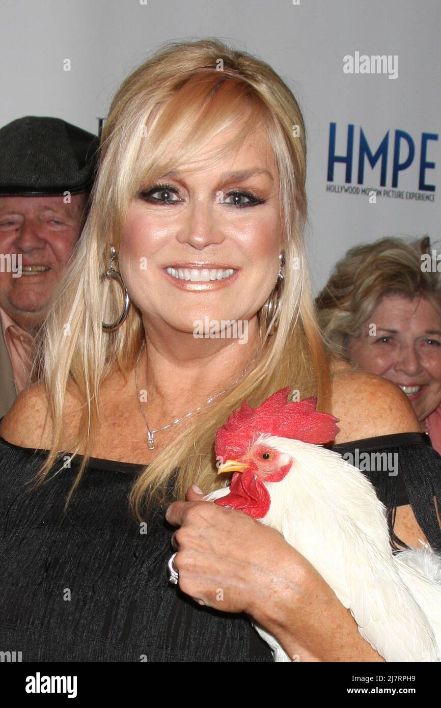 LOS ANGELES - MAI 14: Catherine Hickland Fisher beim VIP-Empfang von „Debbie Reynolds – The Auction Finale“; Auktion von www.ProfilesInHistory.com im Debbie Reynolds Dance Studio am 14. Mai 2014 in North Hollywood, CA Stockfoto