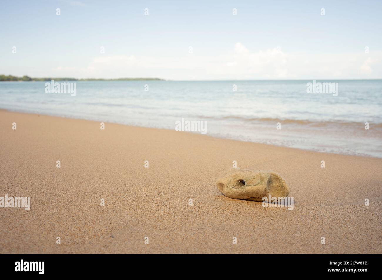 Stein auf dem Sand Baech. Stockfoto