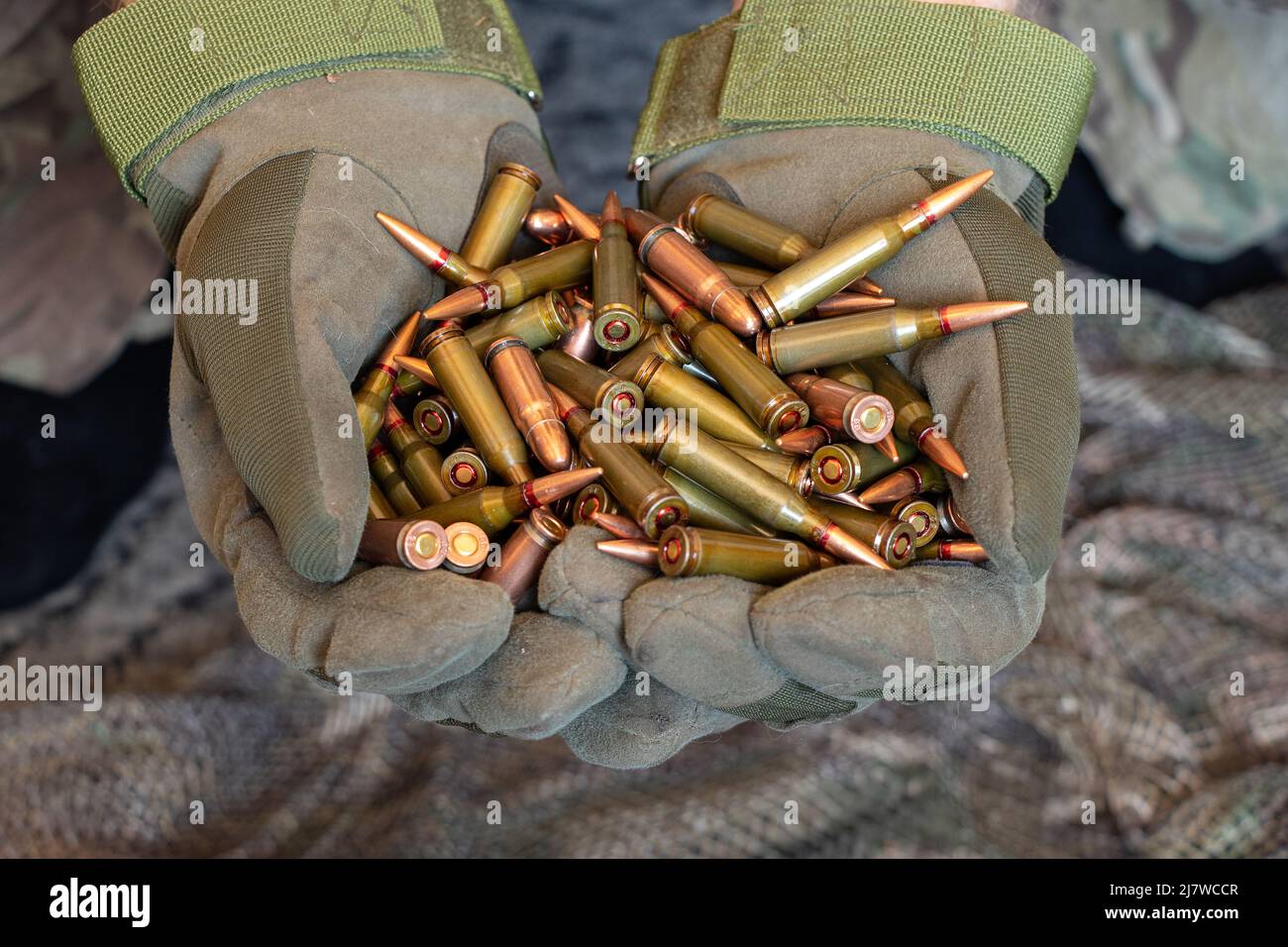 Ukrainischer Soldat in Handschuhen hält Kugeln aus einem Maschinengewehr auf einem Tarnhintergrund, Waffen der ukrainischen Armee, Krieg in der Ukraine Stockfoto