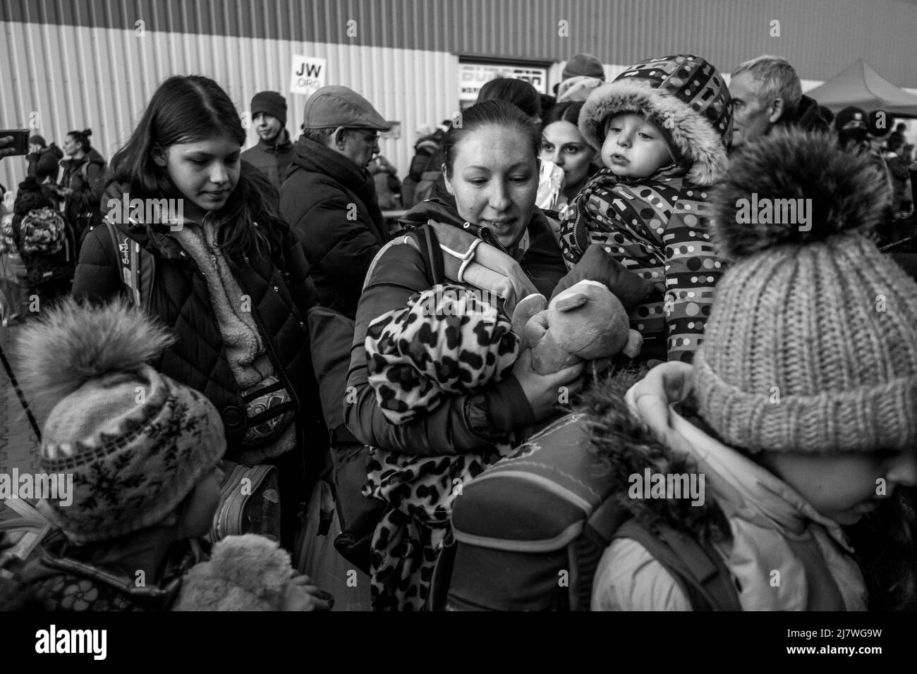 Michael Bunel / Le Pictorium - Flüchtlinge an der polnisch-ukrainischen Grenze nach dem Einmarsch der russischen Armee in die Ukraine - 3/3/2022 - Polen / Stockfoto