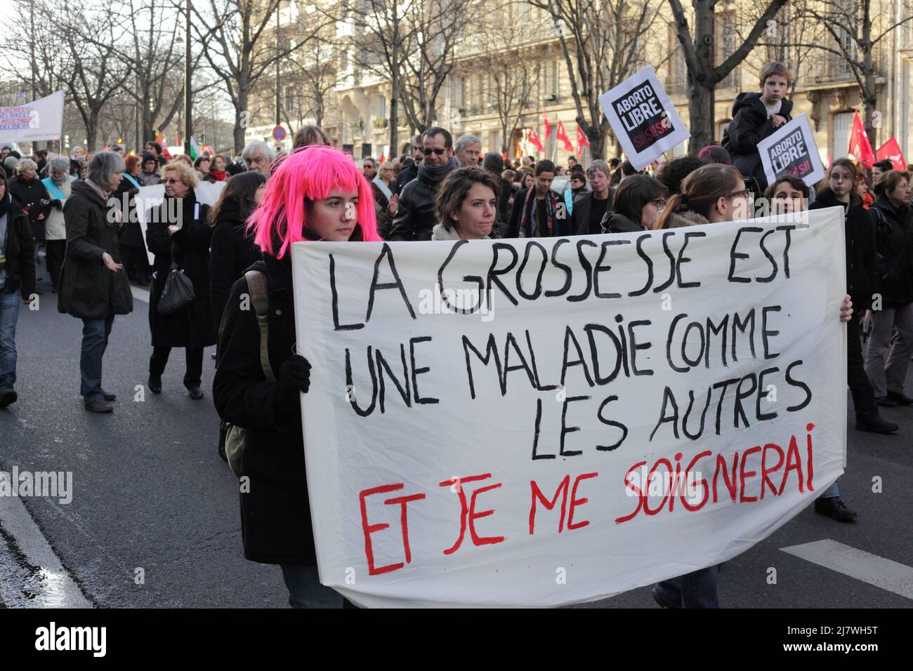 Paris : Manifestation contre le projet de loi anti-avortement en Espagne 01er février 2014. La grossesse est une maladie comme les autres et je me soi Stockfoto