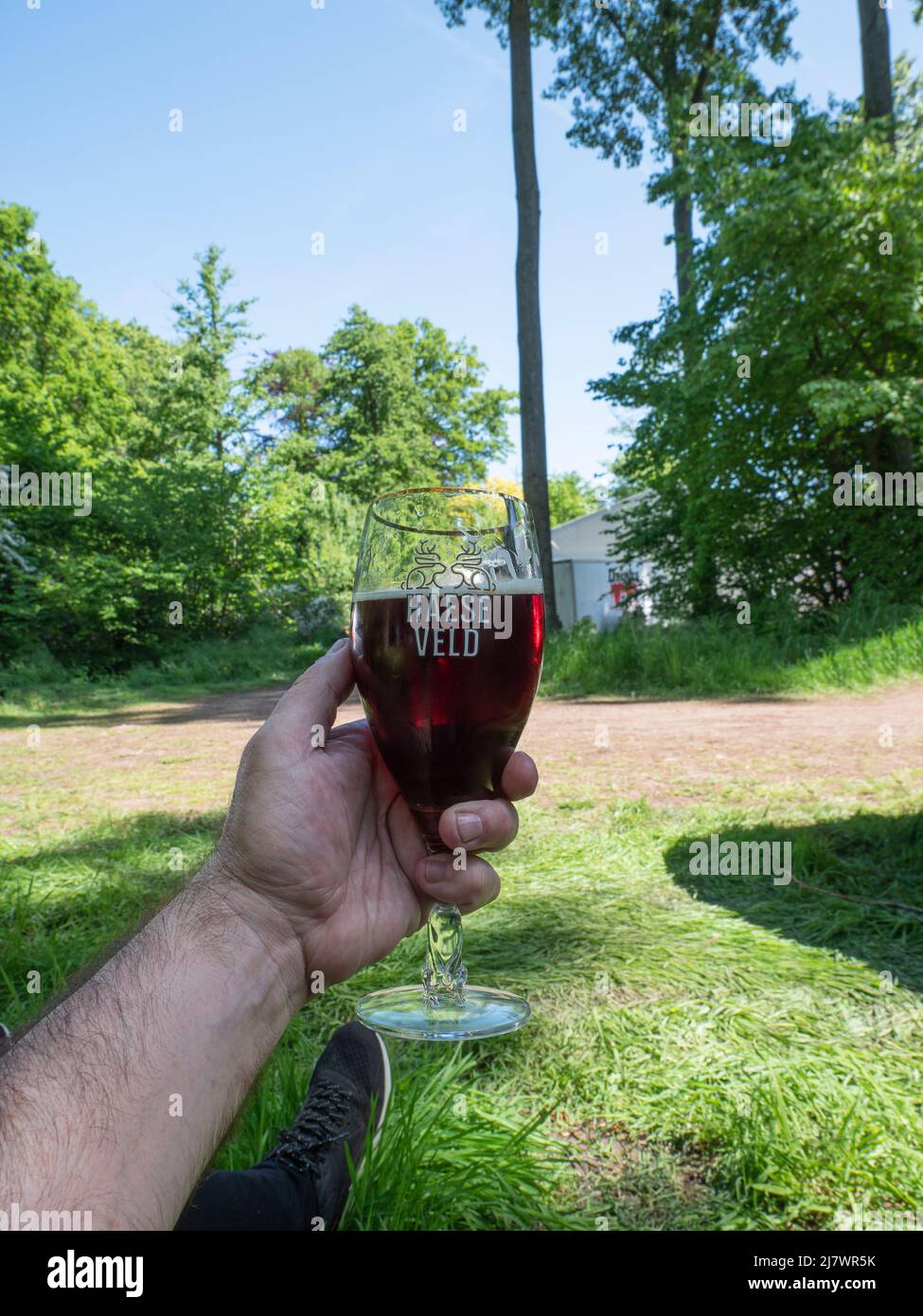 Beervelde, Belgien, 08. Mai 2022, kräftiges dunkles belgisches Bier in einem Glas, in der Hand gehalten Stockfoto