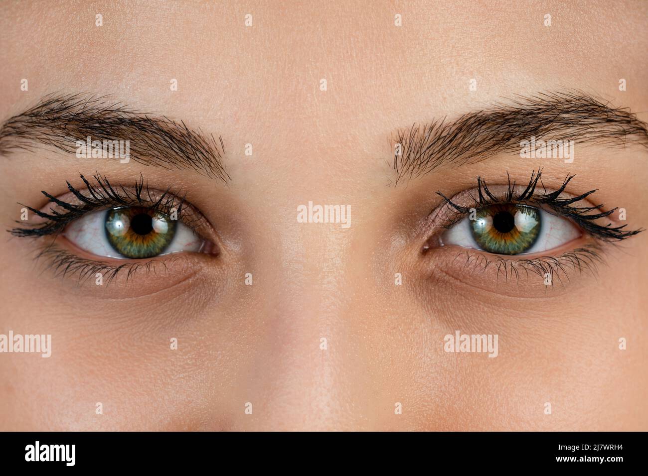 Nahaufnahme, Makroaufnahme eines weiblichen Farbauges, einer Iris, einer Pupille, Wimpern, Augenlidern. Hochwertige Fotos Stockfoto