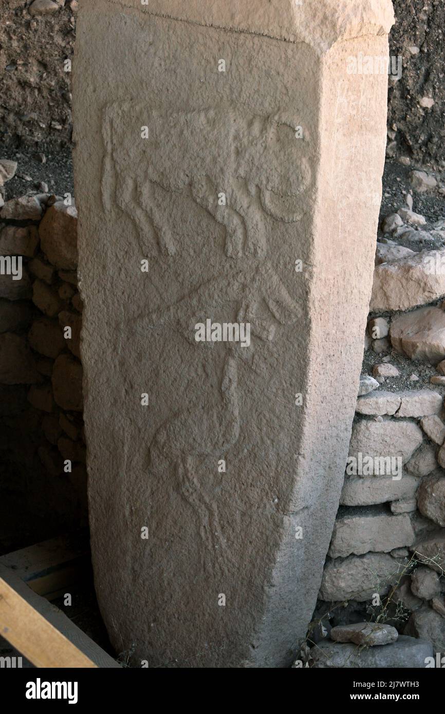 Eine Steinsäule bei Gobekli Tepe bei Sanliurfa in der Türkei, die die geschnitzten Figuren einer Auerochse, eines Fuchses und eines Kranichs zeigt. Stockfoto