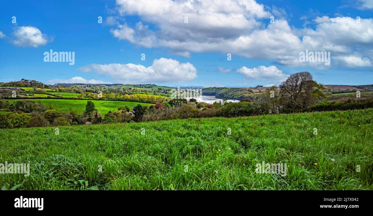 Blick auf die Landschaft in Richtung des Tresillian Flusses bei truro in cornwall, england Stockfoto