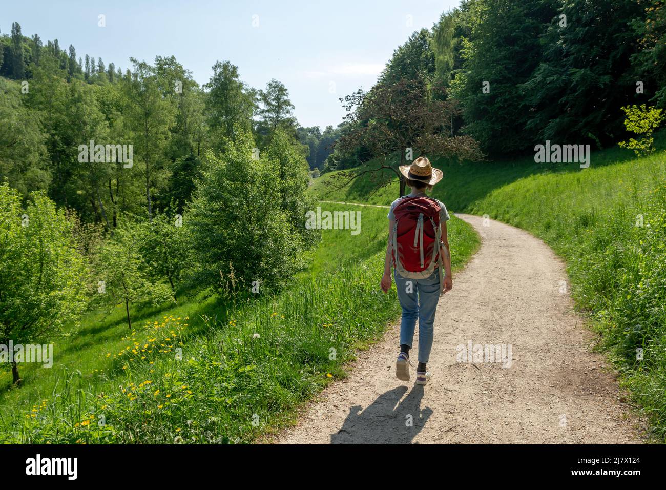 Frau mit braunem Haar, Strohhut, grauem T-Shirt und Jeans, Wanderung mit rotem Rucksack auf dem Weg zum Staatspark Fürstenlager, Rückansicht, Auerbach, Benshe Stockfoto