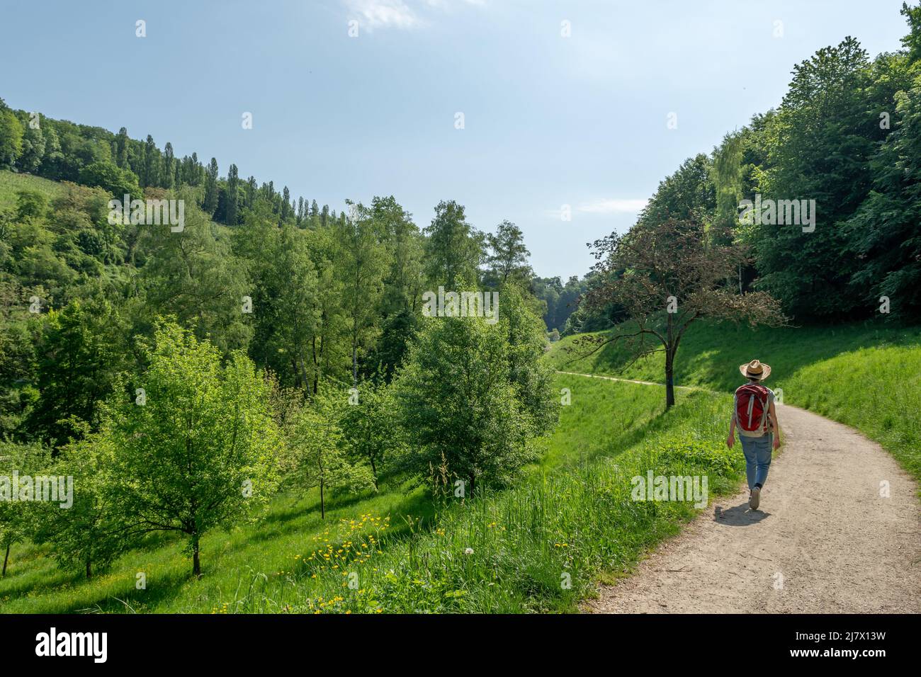 Frau mit braunem Haar, Strohhut, grauem T-Shirt und Jeans, Wanderung mit rotem Rucksack auf dem Weg zum Staatspark Fürstenlager, Rückansicht, Auerbach, Benshe Stockfoto