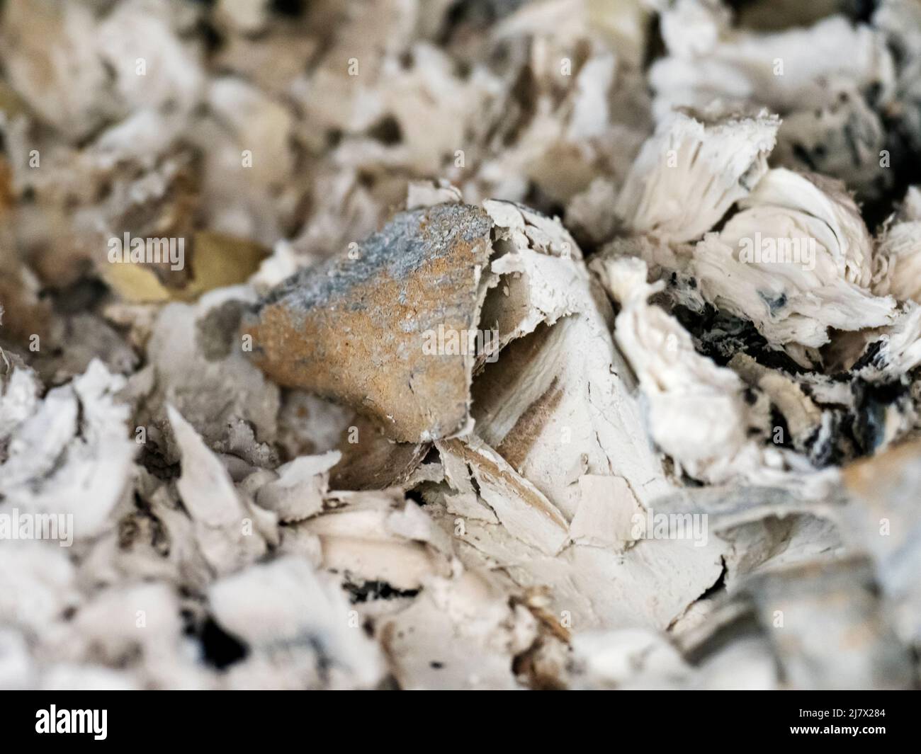 Verbranntes Holz in einem Holzofen. Stockfoto