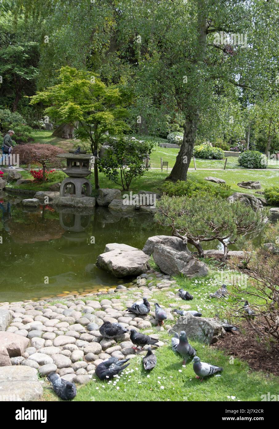 Wunderschöner japanischer Garten im Herzen von London, Großbritannien Stockfoto