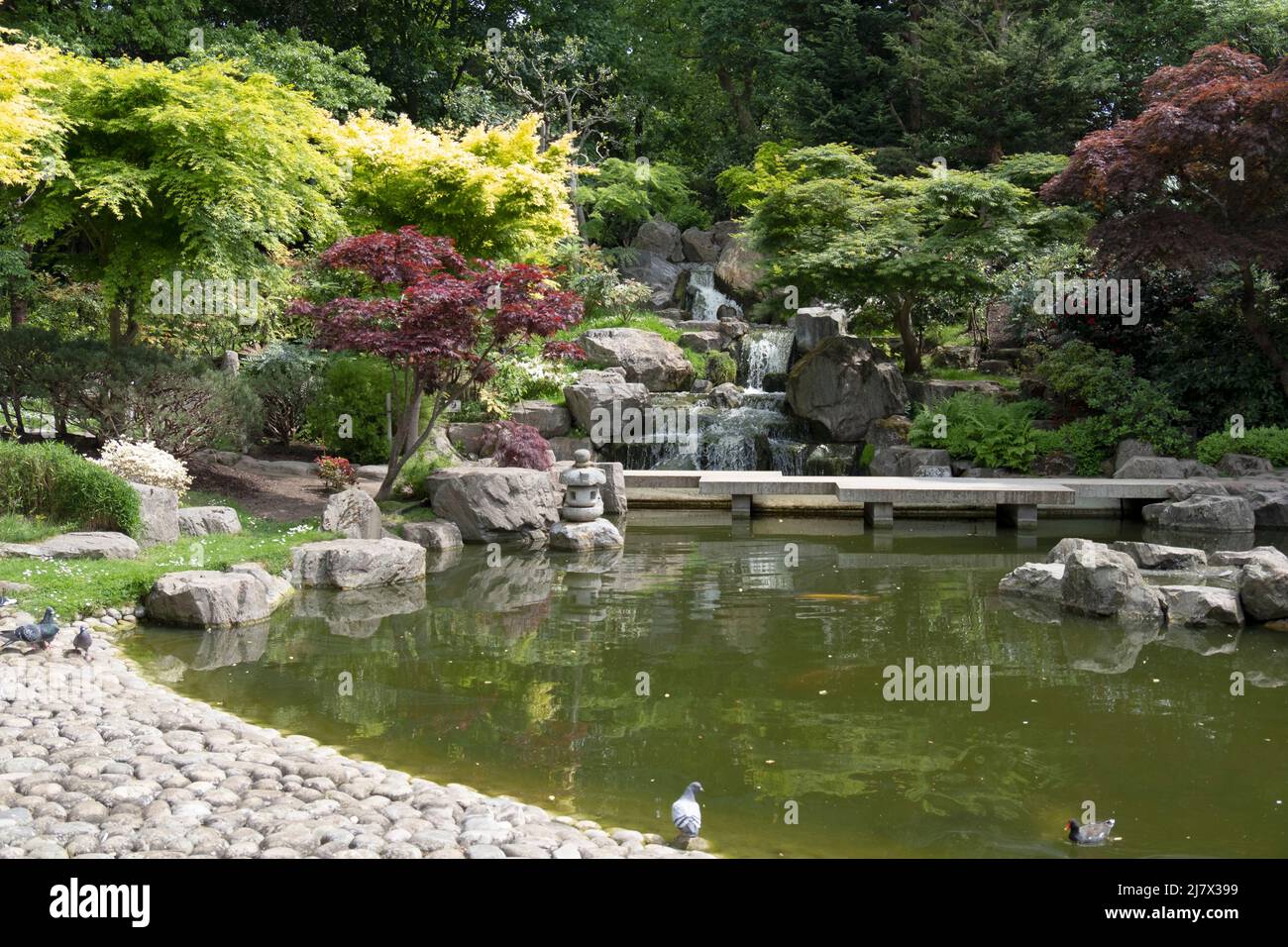 Wunderschöner japanischer Garten im Herzen von London, Großbritannien Stockfoto