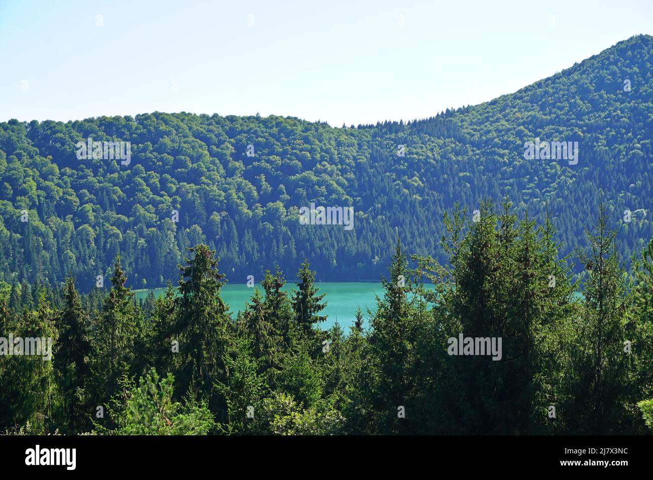 Der umliegende Wald des Sees Sfanta Ana, der einzige Krater in Rumänien Stockfoto