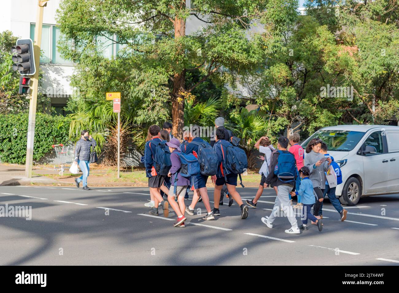 Australische Schulkinder im Bundesstaat New South Wales, die Rucksäcke tragen, einige davon in Begleitung von Erwachsenen, überqueren an einer belebten Fußgängerüberführung Stockfoto