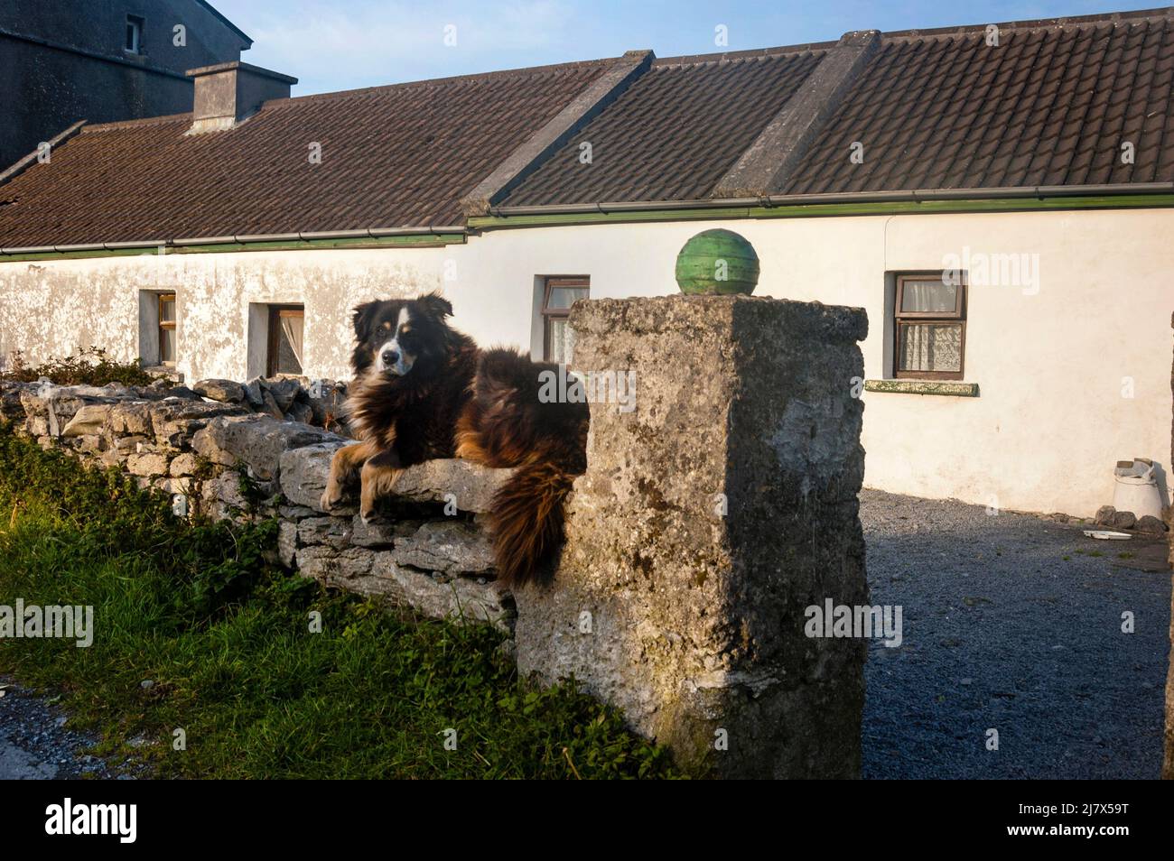 Inishmaan, mitten von drei Aran-Inseln vor der Küste Irlands. Stockfoto