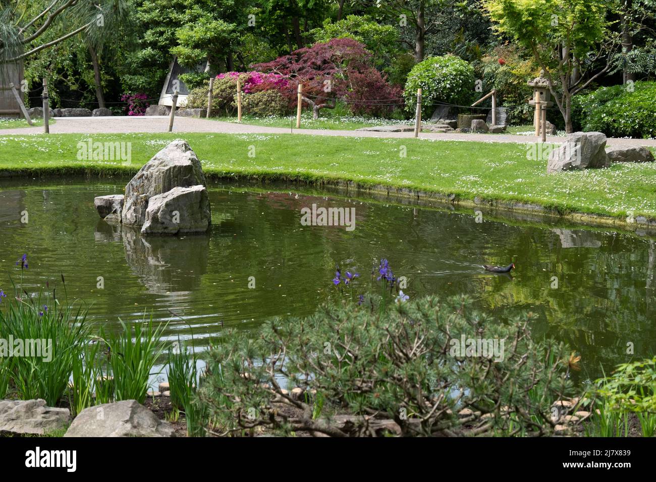 Wunderschöner japanischer Garten im Herzen von London, Großbritannien Stockfoto